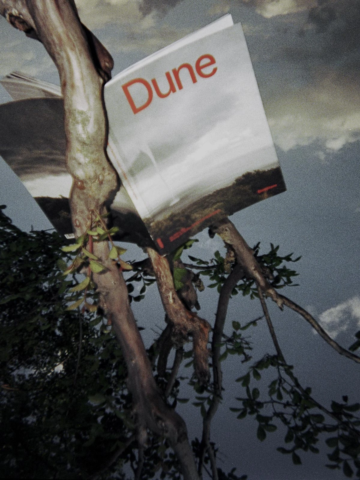 lr-dune-1200x1600-01.jpg